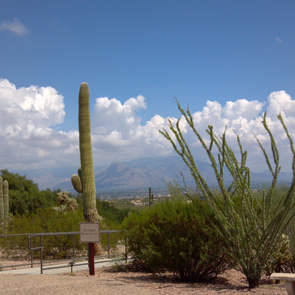 The view from the Chapel courtyard