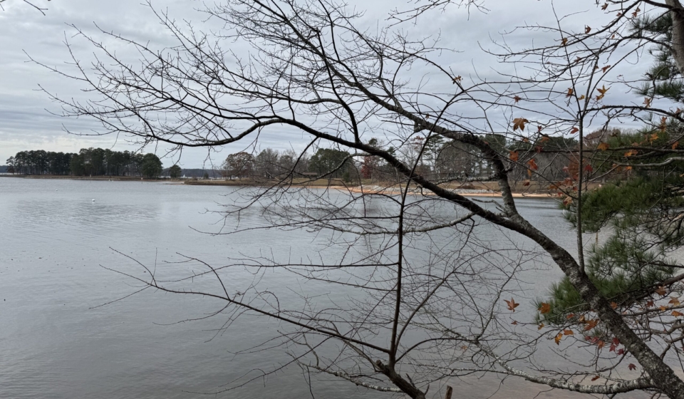 Lake Lanier from the path