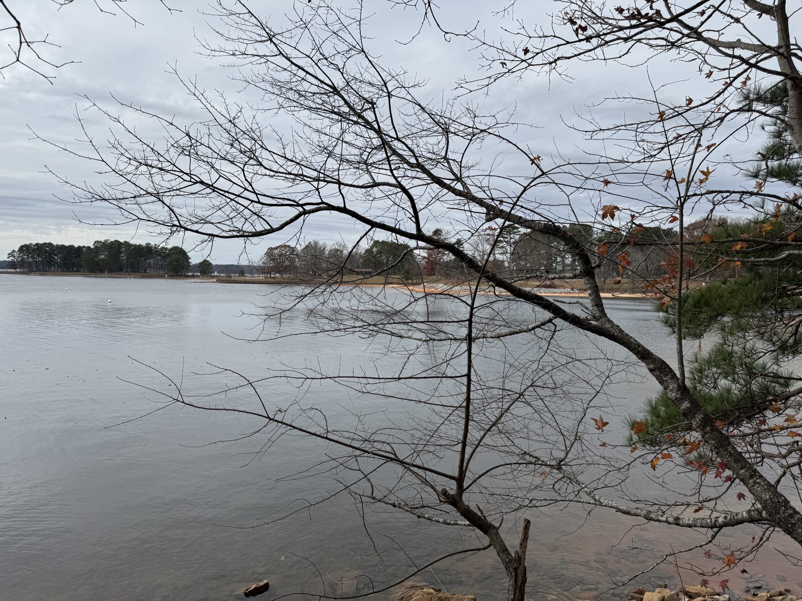 Lake Lanier from the path